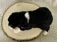 processed/a9f6df29-11e4-4083-a304-6a17694a7e50/listing/564d9224-d08a-4fe0-867d-ed43f11ff5a4/72d33694-df36-4ad5-a4b0-b60de63ea74c