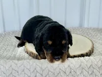 processed/a9f6df29-11e4-4083-a304-6a17694a7e50/listing/6b8bbb1a-a23d-479e-93ff-3f8899e560ad/53ad6b58-02e9-4c78-8024-27280dd58cb9