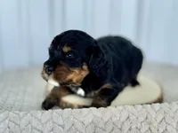 processed/a9f6df29-11e4-4083-a304-6a17694a7e50/listing/6b8bbb1a-a23d-479e-93ff-3f8899e560ad/744c634c-61e4-490c-a01d-aaa3dd8dd631