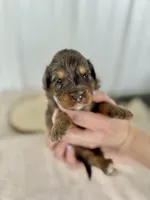 processed/a9f6df29-11e4-4083-a304-6a17694a7e50/listing/730a0c88-615d-47ee-8aa0-bd020c8f765f/2fef505e-06f9-49a1-91db-d56e3941ff4d