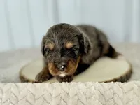 processed/a9f6df29-11e4-4083-a304-6a17694a7e50/listing/730a0c88-615d-47ee-8aa0-bd020c8f765f/6013e0a7-3b1f-44ee-bb03-9c97969f7add