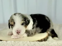 processed/a9f6df29-11e4-4083-a304-6a17694a7e50/listing/79ff5d29-d9f7-4f30-8625-2bd517698815/ab058ea2-36ed-4bc6-8460-96ece5d3ef64