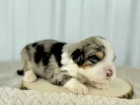 processed/a9f6df29-11e4-4083-a304-6a17694a7e50/listing/79ff5d29-d9f7-4f30-8625-2bd517698815/d2522247-ae9d-4e1a-947a-f28f4bb02386