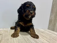 processed/a9f6df29-11e4-4083-a304-6a17694a7e50/listing/843f7c80-a653-4449-ac15-b0de0d5dc9c0/7367dc55-a904-4086-b835-57b44174b54f