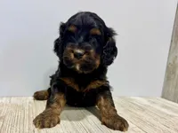 processed/a9f6df29-11e4-4083-a304-6a17694a7e50/listing/843f7c80-a653-4449-ac15-b0de0d5dc9c0/cddbb504-14f9-4b2e-b4f3-9832879b9454