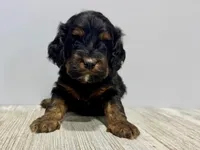 processed/a9f6df29-11e4-4083-a304-6a17694a7e50/listing/843f7c80-a653-4449-ac15-b0de0d5dc9c0/d5f0727d-7225-44e8-867d-9d95a35c6ceb