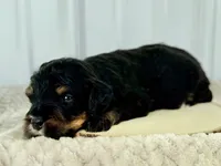 processed/a9f6df29-11e4-4083-a304-6a17694a7e50/listing/86ec876c-dcff-4d67-b4c6-eef308b4cc0d/9bcf784f-f4a4-4adc-9238-83a267ee6968