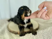 processed/a9f6df29-11e4-4083-a304-6a17694a7e50/listing/86ec876c-dcff-4d67-b4c6-eef308b4cc0d/aeb80c76-13c5-4573-b811-c8b485433f79