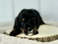 processed/a9f6df29-11e4-4083-a304-6a17694a7e50/listing/86ec876c-dcff-4d67-b4c6-eef308b4cc0d/f3953e9e-ce49-4e4f-991c-e6b073531fcd