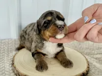 processed/a9f6df29-11e4-4083-a304-6a17694a7e50/listing/9e5db5cc-6bfa-4709-ac37-07aa7ea90ccb/26ae22f4-59d5-440a-bcc6-da406687320a