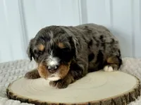 processed/a9f6df29-11e4-4083-a304-6a17694a7e50/listing/9e5db5cc-6bfa-4709-ac37-07aa7ea90ccb/302d48eb-f707-4407-b546-59d108b4b846