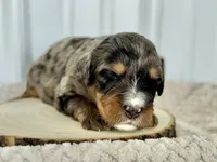 processed/a9f6df29-11e4-4083-a304-6a17694a7e50/listing/9e5db5cc-6bfa-4709-ac37-07aa7ea90ccb/bf67a2e4-ce79-43ad-9858-2df771ead899