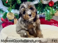 processed/a9f6df29-11e4-4083-a304-6a17694a7e50/listing/a1039895-4a5c-4e85-93e4-604323eebd74/6b6ab92e-791d-4f18-9fc0-290f718bcbb8