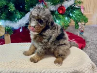 processed/a9f6df29-11e4-4083-a304-6a17694a7e50/listing/a1039895-4a5c-4e85-93e4-604323eebd74/9f22ddc9-fa08-43fc-a832-48111ab6ac99