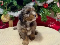 processed/a9f6df29-11e4-4083-a304-6a17694a7e50/listing/a1039895-4a5c-4e85-93e4-604323eebd74/a2150f07-e877-4096-8ae4-7bdc27b6a713