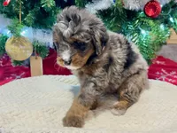 processed/a9f6df29-11e4-4083-a304-6a17694a7e50/listing/a1039895-4a5c-4e85-93e4-604323eebd74/aa179d99-359f-4059-b97f-5b095e3e3083