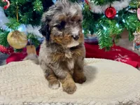 processed/a9f6df29-11e4-4083-a304-6a17694a7e50/listing/a1039895-4a5c-4e85-93e4-604323eebd74/b8835772-1f0a-4d5a-8967-1c23a4b3ee3f