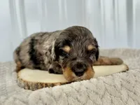 processed/a9f6df29-11e4-4083-a304-6a17694a7e50/listing/a94eab13-1dba-43dc-8238-3eb1326e560e/13e17d05-b58e-415c-b16d-bff4a291e3be