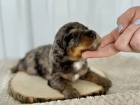 processed/a9f6df29-11e4-4083-a304-6a17694a7e50/listing/a94eab13-1dba-43dc-8238-3eb1326e560e/1a21a440-6d2b-42e1-9d5a-083560dc1f0f