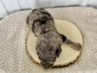 processed/a9f6df29-11e4-4083-a304-6a17694a7e50/listing/a94eab13-1dba-43dc-8238-3eb1326e560e/2e662316-4097-4223-b45c-583ac115daab