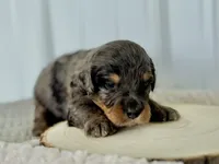 processed/a9f6df29-11e4-4083-a304-6a17694a7e50/listing/a94eab13-1dba-43dc-8238-3eb1326e560e/7a44571f-7302-4afc-bdc1-0f48073d01f9