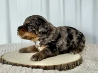 processed/a9f6df29-11e4-4083-a304-6a17694a7e50/listing/a94eab13-1dba-43dc-8238-3eb1326e560e/a2c6f288-a9cf-4f46-8f47-1aa120c3193a