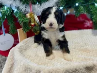 processed/a9f6df29-11e4-4083-a304-6a17694a7e50/listing/aa18d059-b96d-4e44-a457-f82596c5ec6c/11db08e8-e81f-4e2c-ba77-3d21f39d5d9e