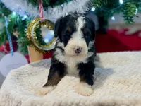 processed/a9f6df29-11e4-4083-a304-6a17694a7e50/listing/aa18d059-b96d-4e44-a457-f82596c5ec6c/8db356a3-7dbe-4828-85e0-ff313fd209f3