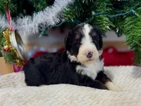 processed/a9f6df29-11e4-4083-a304-6a17694a7e50/listing/aa18d059-b96d-4e44-a457-f82596c5ec6c/8f3de814-da49-46d7-8447-0f865e898aa4