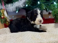 processed/a9f6df29-11e4-4083-a304-6a17694a7e50/listing/aa18d059-b96d-4e44-a457-f82596c5ec6c/95cc2613-f0ba-4fcc-9638-315fa7a82f92