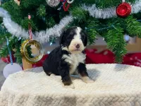 processed/a9f6df29-11e4-4083-a304-6a17694a7e50/listing/aa18d059-b96d-4e44-a457-f82596c5ec6c/c7e7eb05-a509-4d21-8ec8-c9489efeddf9