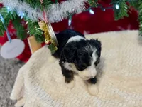 processed/a9f6df29-11e4-4083-a304-6a17694a7e50/listing/aa18d059-b96d-4e44-a457-f82596c5ec6c/eed66961-6521-44be-bfd5-a21df7ed0d66