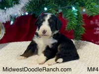 processed/a9f6df29-11e4-4083-a304-6a17694a7e50/listing/aa18d059-b96d-4e44-a457-f82596c5ec6c/fa55e19f-7ac7-42d8-bb2b-36c02c663b07