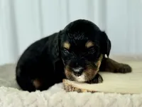 processed/a9f6df29-11e4-4083-a304-6a17694a7e50/listing/ac4a9e96-6433-40c8-91fa-f49d288ac5a5/029bb6fc-bb99-4cd7-9978-121482bee76e