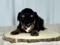 processed/a9f6df29-11e4-4083-a304-6a17694a7e50/listing/ac4a9e96-6433-40c8-91fa-f49d288ac5a5/21cd8bb4-79a7-4f68-bf94-9f34f8d14d98