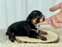 processed/a9f6df29-11e4-4083-a304-6a17694a7e50/listing/ac4a9e96-6433-40c8-91fa-f49d288ac5a5/4ed7b171-f7bc-4c9c-b126-c195f21cf2ab