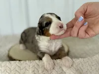 processed/a9f6df29-11e4-4083-a304-6a17694a7e50/listing/bfc5fed8-a952-4ce4-ac71-e100b114a9d0/490548a2-8376-40d9-a663-7703b83bfb28