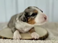 processed/a9f6df29-11e4-4083-a304-6a17694a7e50/listing/bfc5fed8-a952-4ce4-ac71-e100b114a9d0/f4405110-1036-4bf5-a7cd-8596a84e197e