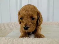 processed/a9f6df29-11e4-4083-a304-6a17694a7e50/listing/c8b18b29-6de7-40ab-83f3-b8d2df630749/29a55cc0-4512-4672-b21c-d38a262b2271