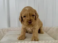 processed/a9f6df29-11e4-4083-a304-6a17694a7e50/listing/dd9cfa82-bbc3-42ba-ab6d-2ed069aa4c9f/d55305e1-a1c4-4b37-9057-40032070a669