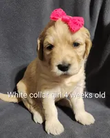 processed/a9fe7356-06cf-426e-bf7c-d32091e77b0a/listing/44c69f39-6443-4d70-9ae0-fcbd8d4ba7ce/0e555ea6-d993-461e-89e8-acec99a0f587