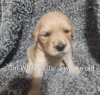 processed/a9fe7356-06cf-426e-bf7c-d32091e77b0a/listing/44c69f39-6443-4d70-9ae0-fcbd8d4ba7ce/2b146a9d-79cb-4b33-9af5-71439b2abffb