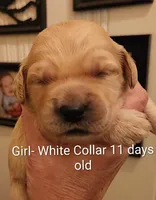 processed/a9fe7356-06cf-426e-bf7c-d32091e77b0a/listing/44c69f39-6443-4d70-9ae0-fcbd8d4ba7ce/5afd3730-80f8-4dca-8f49-d826b7dd3b2e