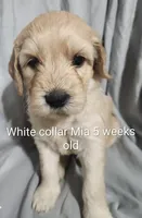 processed/a9fe7356-06cf-426e-bf7c-d32091e77b0a/listing/44c69f39-6443-4d70-9ae0-fcbd8d4ba7ce/a2424533-ac6c-42b6-966f-0ab37c0c615c