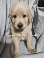 processed/a9fe7356-06cf-426e-bf7c-d32091e77b0a/listing/ba40983f-1d3b-4aa8-ad2a-d048f1dd1aec/f093988f-d6f9-4506-b064-e0d0cddffc41