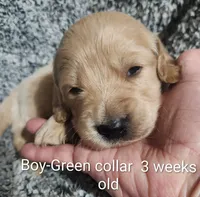 processed/a9fe7356-06cf-426e-bf7c-d32091e77b0a/listing/c675d3ff-b46c-4223-9363-bfba25df5fd2/70e73d84-a694-463f-9360-fbfaebb603da