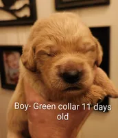 processed/a9fe7356-06cf-426e-bf7c-d32091e77b0a/listing/c675d3ff-b46c-4223-9363-bfba25df5fd2/d99e0d58-f955-4b0a-825d-2f89fc3186e9