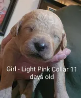 processed/a9fe7356-06cf-426e-bf7c-d32091e77b0a/listing/dd1b652a-ca75-41bd-a610-0f9f9c1c0426/34e08b34-a3d6-483b-81d9-4040cfa493ce