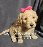 processed/a9fe7356-06cf-426e-bf7c-d32091e77b0a/listing/dd1b652a-ca75-41bd-a610-0f9f9c1c0426/47e01de1-0760-4cfe-9d05-3946ff9462aa