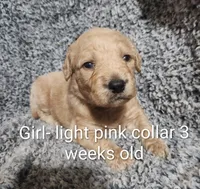 processed/a9fe7356-06cf-426e-bf7c-d32091e77b0a/listing/dd1b652a-ca75-41bd-a610-0f9f9c1c0426/8ea634f2-8602-4b42-85df-42c7c9751383